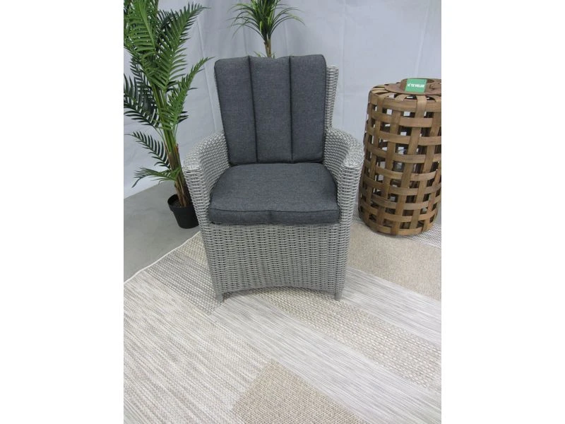 Te Velde Tuinmeubelen Alonzo Vlechtwerk Tuin Stoel